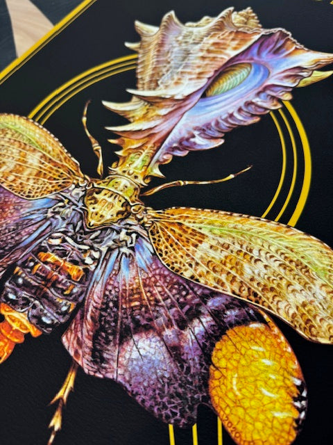 Royal Thunder Time+Space+Travel Roadburn 2024
